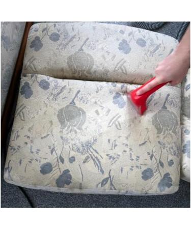 5L Carpet Cleaner Upholstery Cleaning Travelodge For Rug Doctor Machines Pet & Odours Ready To Use Liquid Detergent Solution 5 Litres - Buy Online on GoSupps.com