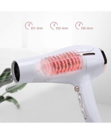 1900W Hair Dryers Powerful Salon Hairdryer Hair Dryer Professional 2 Speed 3 Heat Cool Shot Setting DC Motor Blow Dryer Low Noise with Concentrator Fast Drying Time Reduce Frizz and Static Anti Small - Buy Online on GoSupps.com