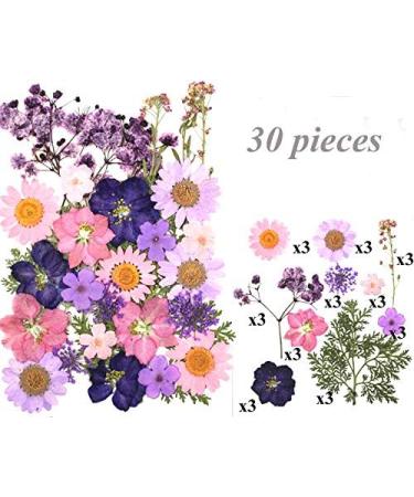 Assorted Real Dried Pressed Flowers and Leaves for Pressed Leaf Art and Resin Art - 106 Pieces (Pink Purple Yellow Green) - Buy Online on GoSupps.com