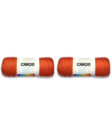 Caron Simply Soft Pumpkin 170.1g (Pack of 2)