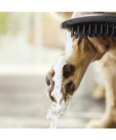 Hansgrohe Dog Shower | Water-Saving Pet Shower with 3 Jet Options for Grooming Dogs & Puppies - Buy Online on GoSupps.com
