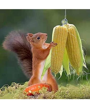 PfNRT Bungee Squirrel Feeder | Outdoor Cob Holder to Attract Squirrels, Chipmunks, and Wildlife - Buy Online on GoSupps.com