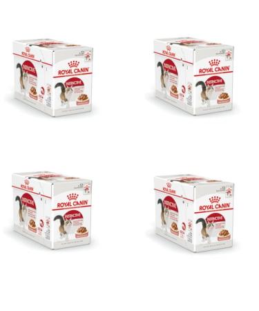 Royal Canin Instinctive Complete Adult Wet Food in Jelly 48 x 85g