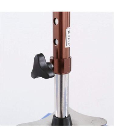 Canes Walking Stick with Crutches Poles -with Small 4-Leg Base- Easy and Smart Adjustable Walking Stick-Stainless Steel Non-Slip Lightweight Aluminum Walking Stick Surprise Gift - Buy Online on GoSupps.com