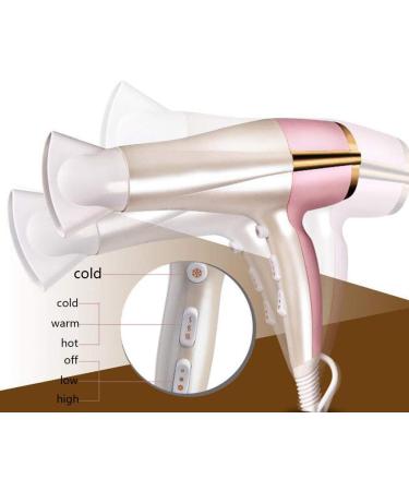 2200W Professional Salon Hair Dryer with Nozzle Powerful DC Motor 3 Heat and 2 Speed Cool Shot Setting Ionic Conditioning to Protect Hair and Increase Shine Fast Drying for Home and Salon Green Small - Buy Online on GoSupps.com