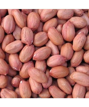 90's MILL Organic Peanut (Whole) (300 g) - Buy Online on GoSupps.com