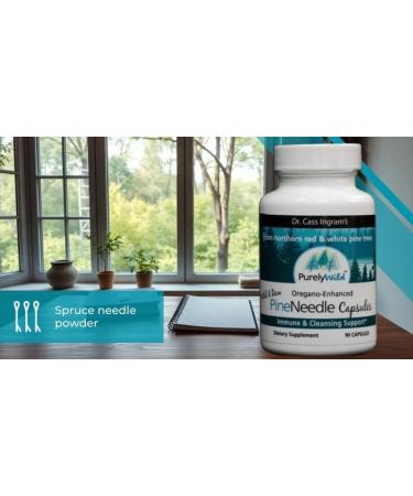 Dr. Cass Ingram Wild Pine Needle Capsules with Spruce Black Cumin & Oregano - Immune Support & Respiratory Wellness Supplement - 90 Count - Buy Online on GoSupps.com