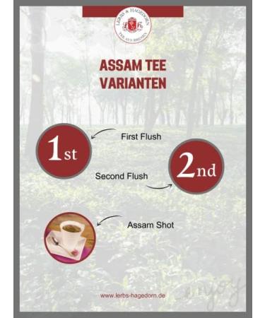  Lerbs & Hagedorn Lerbs & Hagedorn Assam TGFOP1 Decaffeinated Black Tea | Powerful Aromatic Malty 1 kg (approx. 81 liters) Tippy Golden Flowery Orange Pekoe - Buy Online on GoSupps.com