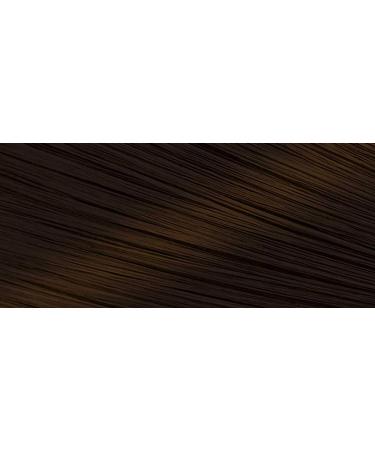 HOYU Bigen Speedy Hair Color Refill No. 5 Deep Chestnut - Pack of 6 | International Shipping Available - Buy Online on GoSupps.com