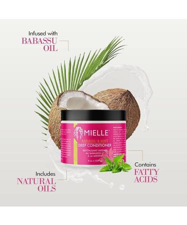 Mielle Babassu & Mint Apr s-shampoing profond aux prot ines traitement hydratant et revitalisant r paration hydratante pour cheveux secs ab m s et cr pus 227 ml (lot de 1) - Buy Online on GoSupps.com