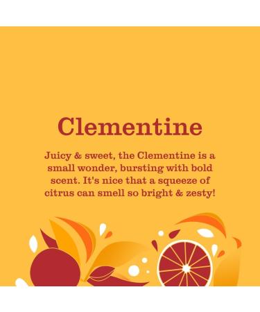 Mrs. MEYER'S MMCD MSEC Clementine SIPP 16oz/3 US - Buy Online on GoSupps.com