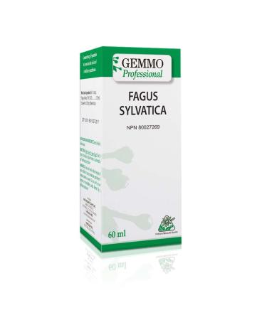 Fagus Sylvatica 60 ml Organic | Gemmo Professional