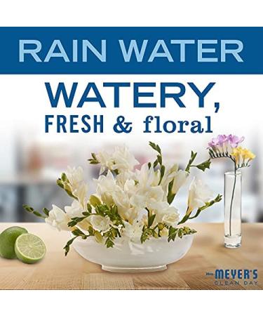 Mrs. MEYER'S Liquid Hand Soap Rainwater 12.5 Fl Oz (Pack of 4) Rainwater 50 Fl Oz (Pack of 1) - Buy Online on GoSupps.com