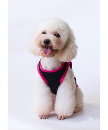 3-Pack Princess Prince T-Shirts for Dogs & Cats Cute Costumes for Small & Medium Pets | Shop Now! - Buy Online on GoSupps.com
