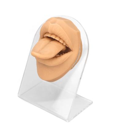 Tongue Mouth Model for Learning | Silicone Structure with Acrylic Support | Piercing Practice (Skin Color) - International Shipping Available - Buy Online on GoSupps.com