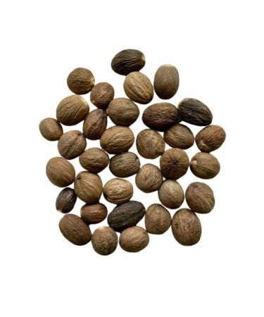 Tisane Noix de Muscade ENTIERE Nux moschata