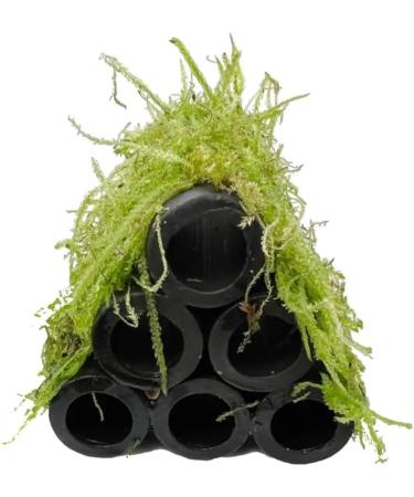 Aqua Essentials Java Moss Shrimp Shelter - Buy Online on GoSupps.com