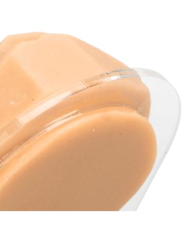 Buy Soft Silicone Tongue Model with Acrylic Stand | Lifelike Educational Tool for Lip & Tongue Piercing Practice (Skin Color - Buy Online on GoSupps.com