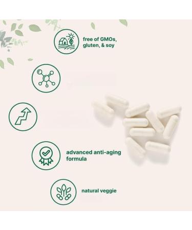 Liposome Complex Supports inner youthfulness promotes clear thinking and maintains daily mental sharpness and vitality - Buy Online on GoSupps.com