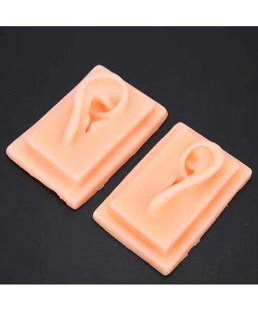 Acupuncture Ear Model for Practice | 2-Piece Set | Smooth Texture | Ideal for Students - Buy Online on GoSupps.com