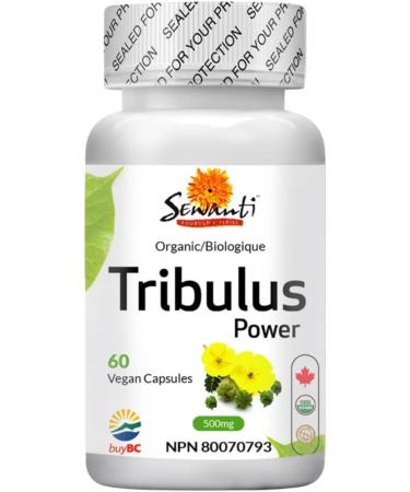Sewanti Organic Tribulus Power Npn 80070793 60 gram - Buy Online on GoSupps.com