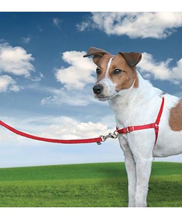 PetSafe Easy Walk Harness | Anti-Pull Dog Harness - Reduces Choking & Coughing | Includes 1.8M Leash | Size M - Red - Buy Online on GoSupps.com