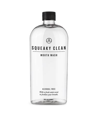 Squeaky Clean Alcohol Free Mouthwash 16 Ounce. Fresh Breath Oral Mouth Rinse. Cool Minty Flavor. Treats Bad Breath.