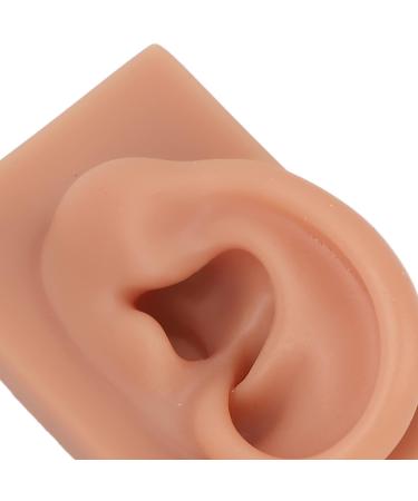 Dark Skin Tone Silicone Human Ear Model for Medical Training - Left & Right | Educational Practice Model - Buy Online on GoSupps.com