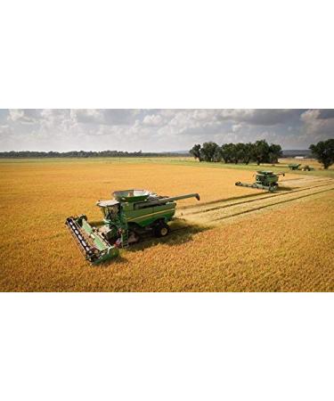 Ralston Family Farms Jasmine White Rice - 6 Pack | Premium Quality, Gluten-Free - Buy Online on GoSupps.com