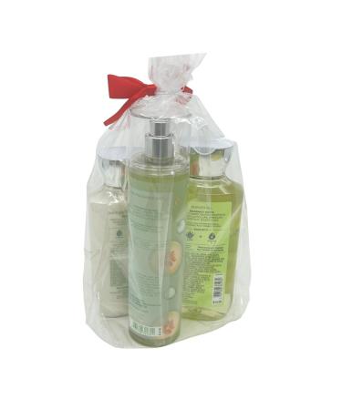 Bath & Body Works Cucumber Melon 3-Piece Gift Set | Limited Edition Holiday Gift with Mist Shower Gel & Body Lotion - Perfect for Gifting - Buy Online on GoSupps.com