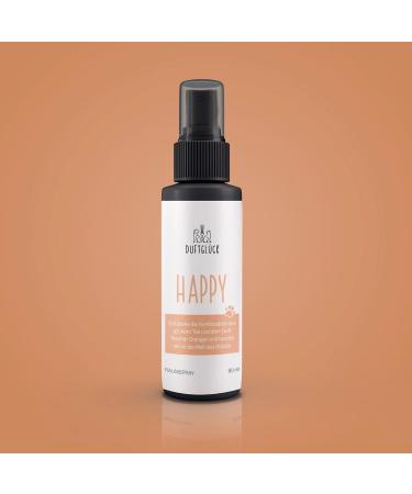 Natural Odor Neutralizer Room Spray - Fragrance Happiness | Vegan & Cruelty-Free | Made in Germany | Citrus & Green Tea Scent | 60g - Buy Online on GoSupps.com