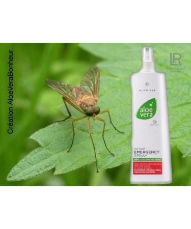 LR Health&Beauty Aloe-Via Aloe Vera Instant Emergency Body Lightweight Spray Women Men 400 ml./13.5 fl.oz. - Buy Online on GoSupps.com