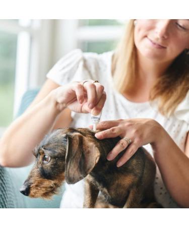 Beaphar FIPROtec Combo for Large Dogs (20-40kg) - Kills Fleas, Eggs, Ticks - Vet Strength Treatment | 6 Pipettes - Buy Online on GoSupps.com