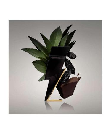 Carolina Herrera Bad Boy Fragrance For Men - Seductive Masculine Scent - Features Oriental And Spicy Accords - Ideal For Evening Wear - Alluring Notes Of Black And White Pepper - Edt Spray - 1.7 Oz - Buy Online on GoSupps.com