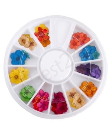 Nail Art Dried Artificial Flowers | 12 Vibrant Colors for Stunning Nail Designs - Shop Internationally - Buy Online on GoSupps.com