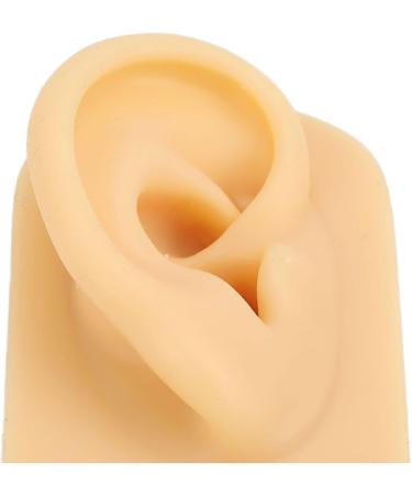 Silicone Ear Model Lifelike Artificial Silicone Ear Model Simulation Elastic for Display (Right) - Buy Online on GoSupps.com