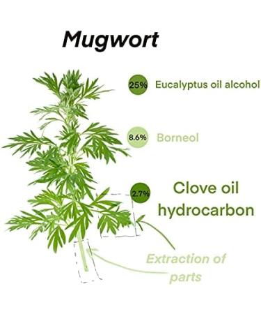 Mugwort Essential Oil 100% Pure-Undiluted Therapeutic Grade Great for Aromatherapy Foot Bath Moxibustion Guasha 15ml(0.49oz) - Buy Online on GoSupps.com