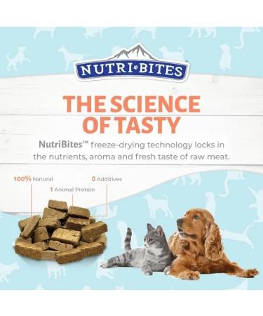 NutriBites Freeze Dried Dog & Cat Treats | Healthy Pet Training Treats or Food Topper | All Natural 1 Single Animal Protein High Protein | Premium Bulk Value Pack (Treat Beef Liver) Beef Liver 1 count (Pack of 1) - Buy Online on GoSupps.com