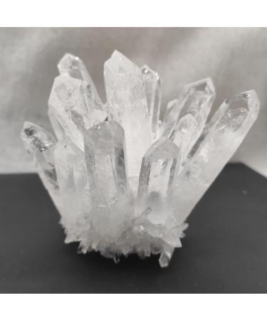 1pcs Natural Clear White Quartz Cluster PointStone Can be Used for (Size : 500-600g) HOMEZHOU (Size : 300-400g) - Buy Online on GoSupps.com
