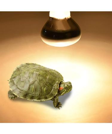 E27 Reptile Heat Bulb Infrared Heating Light Bulbs 25/50/75/100W UV Tortoise Turtle Light Beneficial UVA Basking Lamp Heat Bulb(25W Green) 25w Green - Buy Online on GoSupps.com