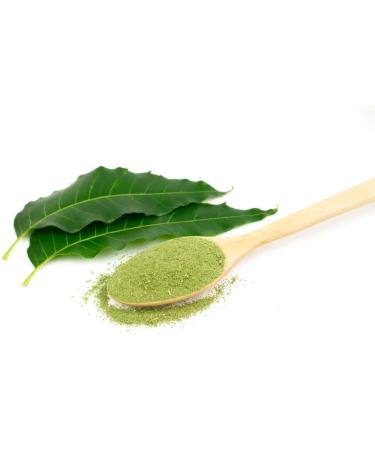 Organik Neem Powder Pimples Skin Brightening Evens Skin Tone Beauty Food Grade Natural Herba -100 gm - Buy Online on GoSupps.com