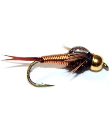 The Fly Fishing Place Bead Head Copper John Nymph Fly Fishing Flies - Set  of 6 Flies Hook Size 12