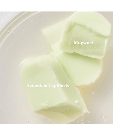 Buy Beauty of Joseon Matte Sun Stick - Mugwort & Camellia (18g) | SPF Protection - Buy Online on GoSupps.com