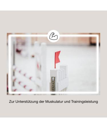 Equimove Bundle for Horses | Muscle Joint & Tendon Support | 1.5 kg Supplementary Feed - Buy Online on GoSupps.com