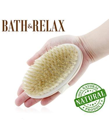 Bath & Relax Natural Bristle Back Scrubber - Exfoliating Shower Brush for Cleansing Dry/Wet Skin, Long Handle Wooden Design - Men and Women - Buy Online on GoSupps.com