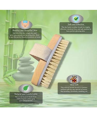 Spiffy Skin Wet & Dry Body Brush Exfoliator - Medium Soft Natural Bristle - Exfoliates Dead Skin, Slows Aging, Reduces Cellulite, Stimulates Blood Flow for Energy - Buy Online on GoSupps.com