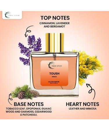 JP TR-EE STUD Voyage of Aquatic Elegance: Captivating Aqua Space Men EAU DE PARFUM 100 ml. Pack of 1 (Toush) - Buy Online on GoSupps.com