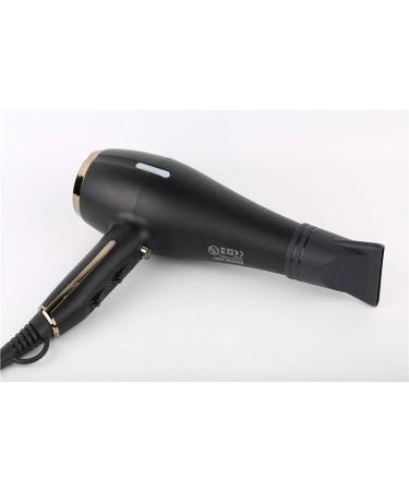 Hair Dryer Professional Ionic Hairdryer 2200W Salon Fast Drying Blow Dryers 3 Heat 2 Speed Settings Cool Shot Button Low Noise AC Motor with Hair Nozzle for Home and Salon Men and Women Small Gift - Buy Online on GoSupps.com