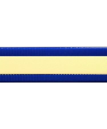 BioThane Sold by the Meter - Gold Standard in Multiple Colors 13-38 mm Wide 2.5 mm Thick - Blue-Glow 25 mm (BU318) - Buy Online on GoSupps.com