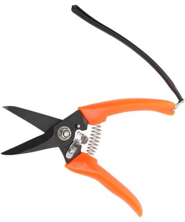 Buy High Carbon Stainless Steel Hoof Shears for Goats | Safe & Durable - International Shipping - Buy Online on GoSupps.com